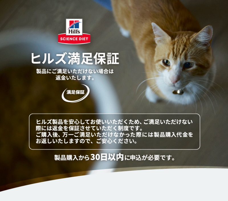 （猫用）SDベットエッセンシャル　猫用　マルチケア＋消化サポート