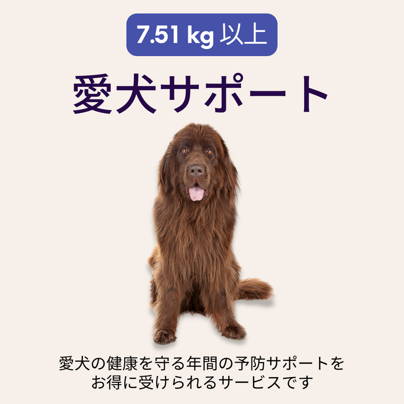 愛犬サポート（7.51kg以上）