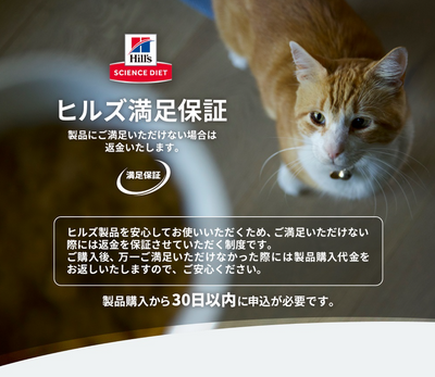 （猫用）【常温】ＳＤ猫シニアライト肥満傾向の高齢猫用　チキン